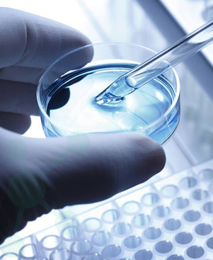 品质保障 实力铸就